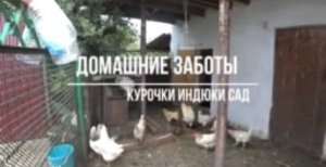 СИБИРЯКИ НА КУБАНИ.НЕ ПОКУПАЙТЕ ТАМ . ПОКА ПРОХЛАДНО НАДО ВСЕ УСПЕТЬ