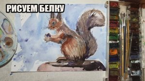 Рисуем белку