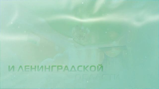Натяжные потолки ЭВИТА - КУДРОВО, ЯНИНО, ЗАНЕВКА, НОВОСЕРГИЕВКА, ДЫБЕНКО, БОЛЬШЕВИКОВ ПРОСПЕКТ СПб смотреть онлайн