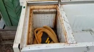 Брудер для индюшат из старого холодильника начало....