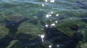 Притча: Мальчик и морские звезды