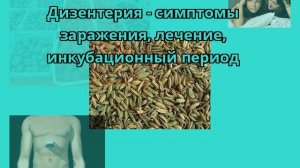 Дизентерия - симптомы заражения, лечение, инкубационный период