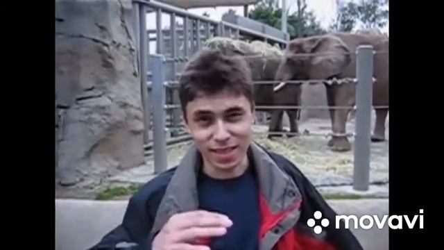 Самое 1 видео на ютуб смотреть онлайн