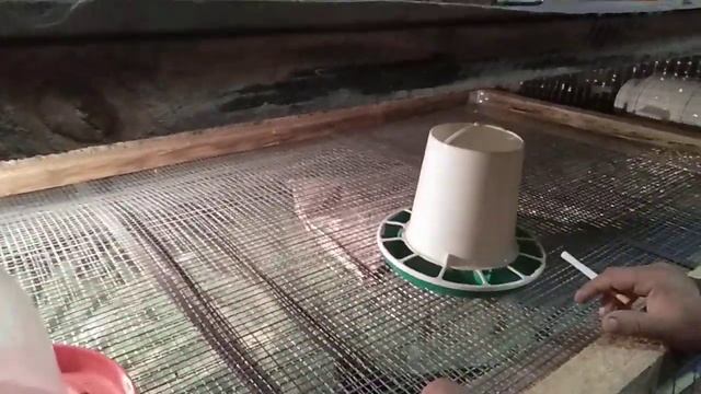 Брудер второй вариант смотреть онлайн