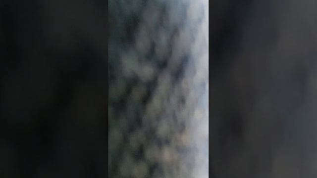 Should have checked the car facts. Now feeling stupid. смотреть онлайн