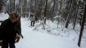 На лыжах за снегоходом охота на волков