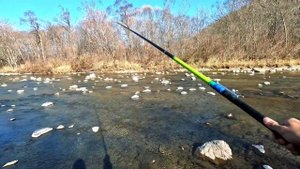 РЫБАЛКА на реке ТИГРОВАЯ 2023. Ловим голец, пеструшку, ленка.