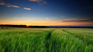 Тета-медитация любви и благодарности