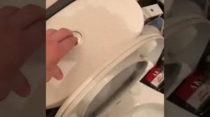 Тест доместос