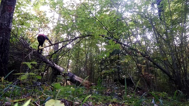 laz der oreh смотреть онлайн