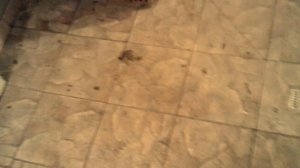 Баня - мой опыт постройки: теплый бетонный пол и водяное отопление