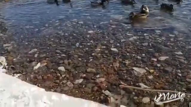 Прогулка на Енисее, город Красноярск смотреть онлайн