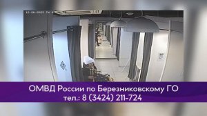 Видео по поиску подозреваемого