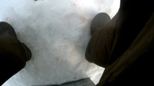 ВОТ ЭТО КАБАНЧИКИ!ЭТОТ БАЛАНСИР ТВОРИТ ЧУДЕСА!