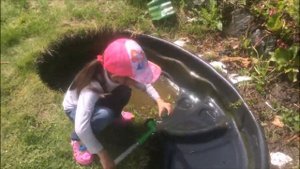 Как почистить пруд. *** How to clean the pond. Darinka is cleaning our pond.