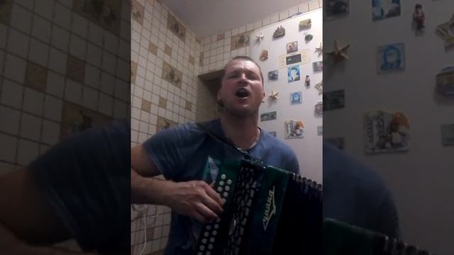 Я деревня, я село. Гармонь