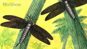 5 ДОИСТОРИЧЕСКИХ НАСЕКОМЫХ-ГИГАНТОВ