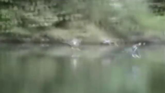 Трофим,Родина.