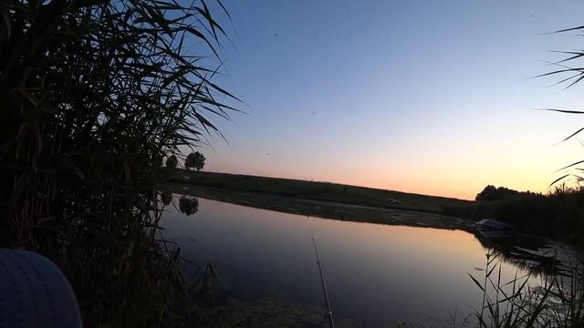 Неудачная вечерня рыбалка в деревне Яглово. Когда карп наелся кукурузы и уплыл