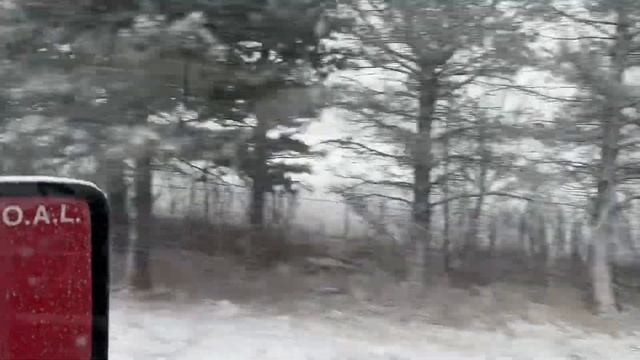 Доставка из Лос Анджелеса в Колорадо. Опасная красота или красивая опасность. Дальнобой в Америке. смотреть онлайн