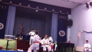 Ката на зеленый пояс