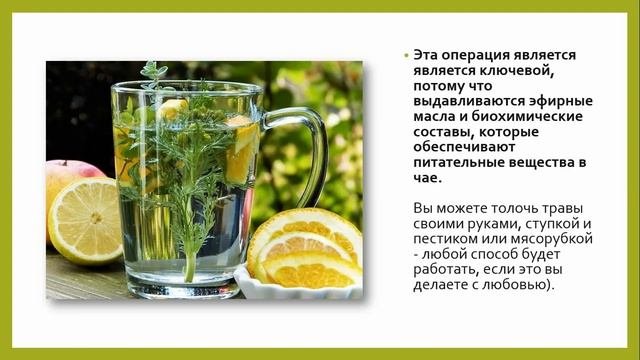 Как приготовить идеальную чашку травяного чая