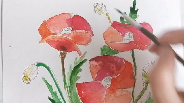 Маки+шаблон-розмальовка. День пам'яті та примирення Flowers. Poppies #2 смотреть онлайн