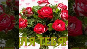 Я приглашаю Вас на праздник. Поёт Алла Пугачева.