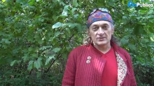 Выпуск 17  Дендрарий заповедник ботанического сада открыт для горожан