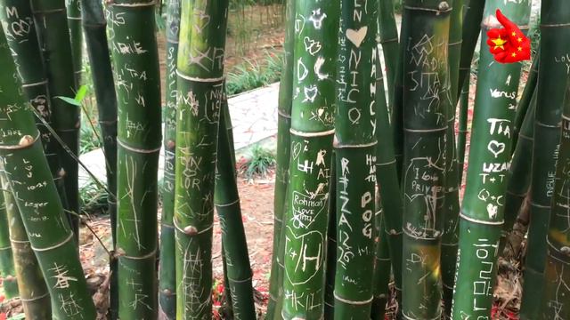 Гонконг часть 5-я (Зоопарк и ботанический сад) смотреть онлайн