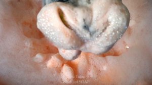 ASMR/Кухонные губки/Sponge squeezing