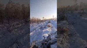 Проминка ГТТ/МТЛБ В РАБОТЕ