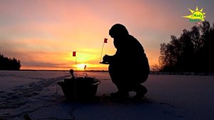 ПЕРВЫЙ ЛЁД! РЫБАЛКА НА ЗАЛИВАХ ВОДОХРАНИЛИЩА.