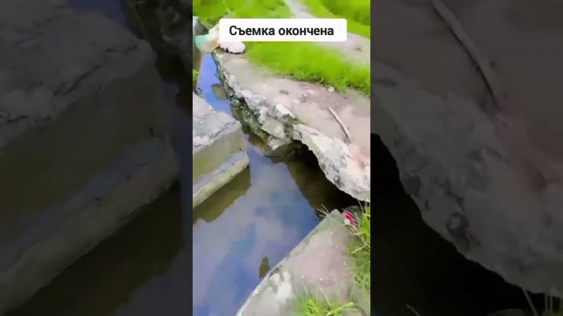 Остался без телефона