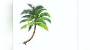 Palm tree oil painting in procreate using Painterly brushes .