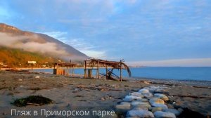 Абхазия – весенняя Гагра в марте | Приморский парк, пляжи, погода и море в марте