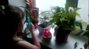 как я ухаживаю за цветами и растениями