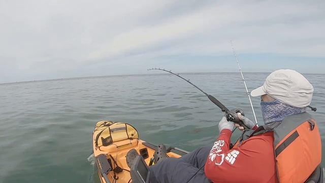 Catching a few Calicos & Juvenile White Sea Bass. Dana Point, CA смотреть онлайн
