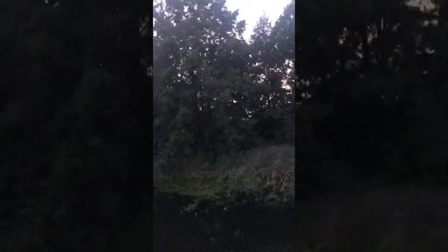 Набережная Ижевска