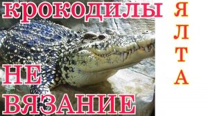 Крым Ялта Влог Кого укусил крокодил