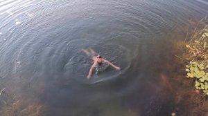 Прыжки в воду - основы. Как делать сальто и рыбку с высоты?