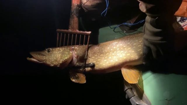 Рыбалка с острогой ноябрь 22. Есть контакт смотреть онлайн