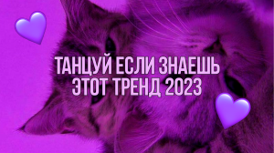 ? ТАНЦУЙ НОВЫЕ ТРЕНДЫ 2023 ГОДА / ТРЕНДЫ ТИК ТОК ?