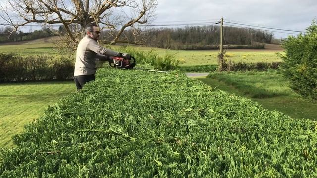 Shire Services Hedgecutting Echo HCR185ES and Henchman 8ft Pro Tripod ladder Lawncare Legends смотреть онлайн