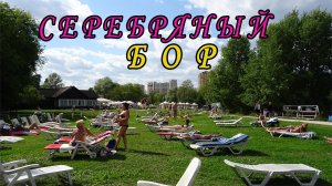 Серебряный Бор. Где купаться в Москве можно бесплатно? Не нудистские пляжи. SUP-серфинг