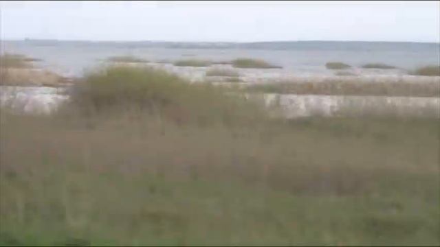 разлив Оки рязанская область смотреть онлайн