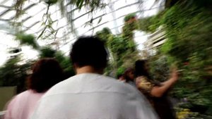 Сингапур/Облачный лес/ Cloud forest/Gardens of the bay