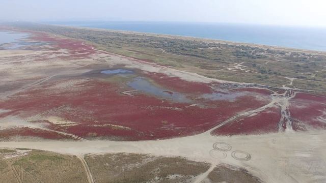 Сентябрь 2020 Анапа Благовещенская смотреть онлайн