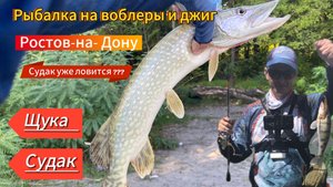 Щука и судак в Ростове-на-Дону!!! Вмочила так, что отдай спиннинг…