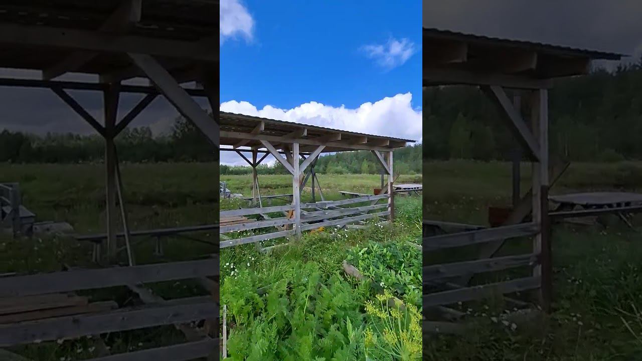 ЗЕМЛЯ ПРОКОРМИТ ВО ВРЕМЯ СМУТЫ!/ СЕРГИЙ АЛИЕВ/ РЕПОСТ! смотреть онлайн